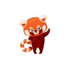 22 Red Panda Cub Illustrations Clip Art Istock