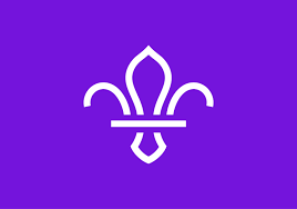 Nation devastated by coronavirus begins to reopen. News North London Scout District
