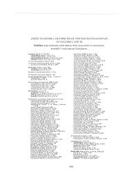 Image result for Microcharis remotiflora