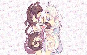 Anime pictures and wallpapers with a unique search for free. Photo Wallpaper Girls Anime Neko Nekopara Cute Ecchi 1332x850 Wallpaper Teahub Io