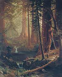 Framed & free usa shipping mix & match from three lovely canvas prints showing a luscious forest. Most Beautiful Forest Paintings My Decorative