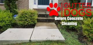Pin By Gutterdogs Affordable Soft Pow On Brick Slate Concrete Cleaning Maryland With Images Concrete Driveways Chimney Cleaning Brick Pavers