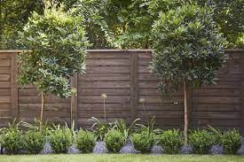 Pin On Backyards