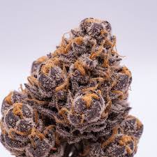 Grape Ape Blüte mit violetten Nuancen und vielen Kristallen kaufen
