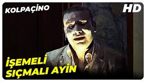 Kaan ertem kimdir, hayatı ve biyografisi. Kolpacino Ayin Sahnesi Youtube