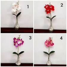 Nah, penasaran apa saja jenis bunga anggrek termahal di dunia 2021 beserta foto dan harganya? Bunga Anggrek Hiasan Meja Vas Bunga Pot Bunga Orchid Flower Anggrek Hias Anggrek Plastik Bunga Meja Shopee Indonesia