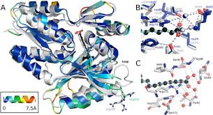 The granite state new hampshire: Acyl Chain Selectivity And Physiological Roles Of Staphylococcus Aureus Fatty Acid Binding Proteins Journal Of Biological Chemistry