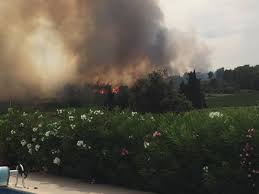 We did not find results for: Herault Un Feu En Pleine Pinede Dans L Ouest Biterrois