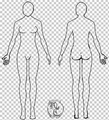 Human anatomy drawing drawing theory. Human Body Anatomy Drawing Human Anatomy