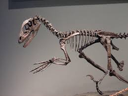 نتيجة بحث الصور عن أسباب انقراض الديناصورات