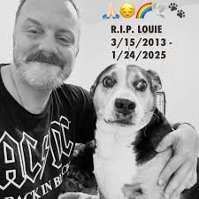 Lost pet due to kidney failure