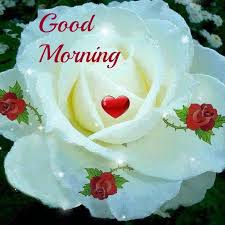 Maybe you would like to learn more about one of these? Morning With White Rose
