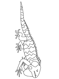 There are tons of great resources for free printable color pages online. Iguana Coloring Page