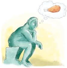 Memorias Circunstancias E Tentacoes Como Perdi Peso