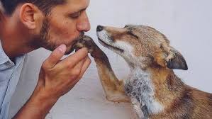 Thank you for over 100,000 subscribers!