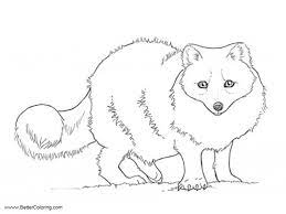 Click the arctic fox coloring pages to view printable version or color it online (compatible with ipad and android tablets). Cute Arctic Fox Coloring Pages Novocom Top