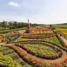 Antara tempat paling menarik yang selalu dikunjungi pelancong ialah the sky walk. Destinasi Wisata Taman Dewi Cemara Atau Crop Circle Kedungmalang Papar Kediri Wisata Oke