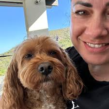 Does anyone know of a good animal behaviorist and how that works? NOT a  trainer. A behaviorist. I'm actually in Valley but I don't feel likely to  find one here. Thanks!