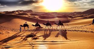 Tesis, deve gezisi sahara turu'na 3,5 km, daya tamezguidat/flamingo gölü'ne ise 3. Morocco Desert Tour From Marrakech Sunny Excursion