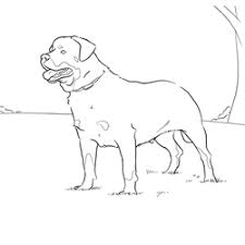 Online Coloring Pages Of Your Favorite Dog Breed Animais