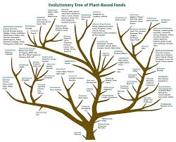 They were ahead on 14 minutes, lee stewart made space down the left, beat his marker, before rolling the ball across the penalty area for bright ababio to score at the back post. Nutrients Free Full Text Measuring Dietary Botanical Diversity As A Proxy For Phytochemical Exposure Html