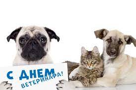 Каждый год в последнюю субботу апреля во многих государствах отмечают всемирный день ветеринара. 31 Avgusta Den Veterinarnogo Vracha