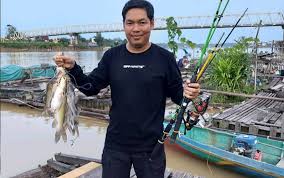 Sehingga dianjurkan untuk para angler buat memancing pada dikala malam hari. Mancing Mania Memanfaatkan Sungai Katingan Yang Sedang Surut