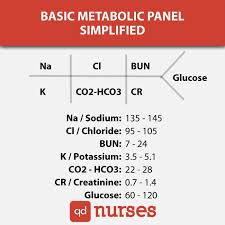 basic metabolic panel simplified qd nurses doctor of