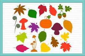 Download Leaves Svg Fall Leaves Svg Leaves Clipart Mushrooms Svg Pumpkin Svg Fall Bundle Svg Acorn Svg Maple Leaf Svg Png Jpeg Dxf Svgs By Kartcreation Thehungryjpeg Com