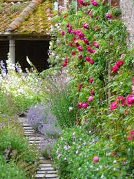Cottage Garden English Roses Catming Geranium Delphinium Etc The Teddington Gardener Small Cottage Garden Ideas Cottage Garden Beautiful Gardens