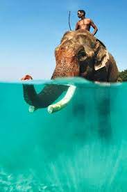 It's very hot but it's terrific to go swimming in the afternoon. Babar And Me And The Deep Blue Sea Andaman Islands Wonders Of The World Places To Travel