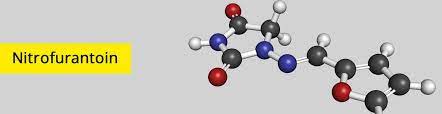 Nitrofurantoin Urinary Tract Infection Urinary Tract Cystitis