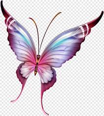 Different styles of butterfly png images. Flying Butterfly Butterflies Butterfly Pattern Beautiful Butterflies Hd Png Download 703x790 16525709 Png Image Pngjoy