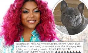 Taraji P Henson Asks Her Fans To Pray For Her Beloved Dog K Ball After Surgery Complications Daily Mail Online