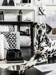 Collection by owls2beautiful • last updated 8 days ago. Inspiration Ideas Ikea