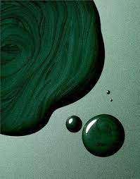 colour of the month many shades of green september suna toast suna toast dark green aesthetic slytherin aesthetic green aesthetic