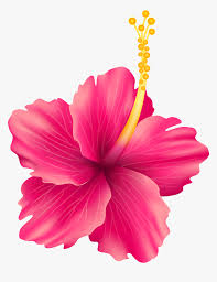 These are digital files, you will not receive any physical all clipart images are transparent pngs. Pink Exotic Flower Png Transparent Clip Art Imageu200b Png Download Kindpng