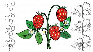 All you will need is a pencil, an. How To Draw A Bush Of Strawberry In Stages Together With A Child
