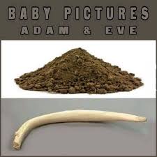 Image result for images ribs of adam and eve