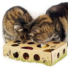 Check spelling or type a new query. Cat Amazing Best Cat Toy Ever Interactive Treat Maze And Puzzle Feeder For Cats See This Great Product This Is An Affiliate L Cat Toys Cool Cats Pet Mice