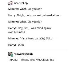 Pin By I Prefer Anonymity On Fandom Harry Potter Headcannons Harry Potter Universal Harry Potter Jokes