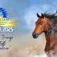 2025 Michigan Horse Expo and Trade Show