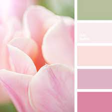 With its soft pinks and blues, this color palette would look fabulous inside a cute cafe or bakery or maybe a nursery. Soft Pink Page 2 Of 3 Color Palette Ideas