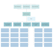 Organizational Chart Templates Templates For Word Ppt And