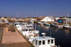 A Quick and Dirty Guide to Water Sports