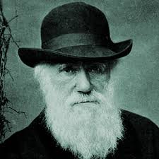 A Origem das Espécies eBook : Darwin, Charles , Arrais, Rafael, Paul,  Joaquim Dá Mesquita: Amazon.com.br: Livros