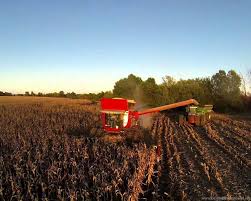 Find images of corn harvesting. Massey Ferguson 9540 Se Kansas Corn Harvest Youtube Desktop Background