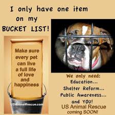Hopefully Someday I M Going To Own An Animal Shelter Bucket List Animal Shelter My Bucket List