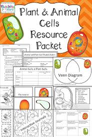 Plant And Animal Cells Unit Plant And Animal Cells Science Cells Animal Cell