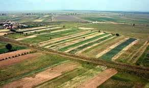 Proiectul noului cod funciar, aprobat de guvern propune o nouă pentru terenurile proprietate publică a statului schimbarea modului de folosinţă a terenurilor agricole se propune de a se. Continua Intabularea Gratuita A Terenurilor 1860 De Hectare La Targu Frumos Si Ion Neculce Sedinta De Informare La Miroslovesti Bittv Info Pascani Tg Frumos Harlau